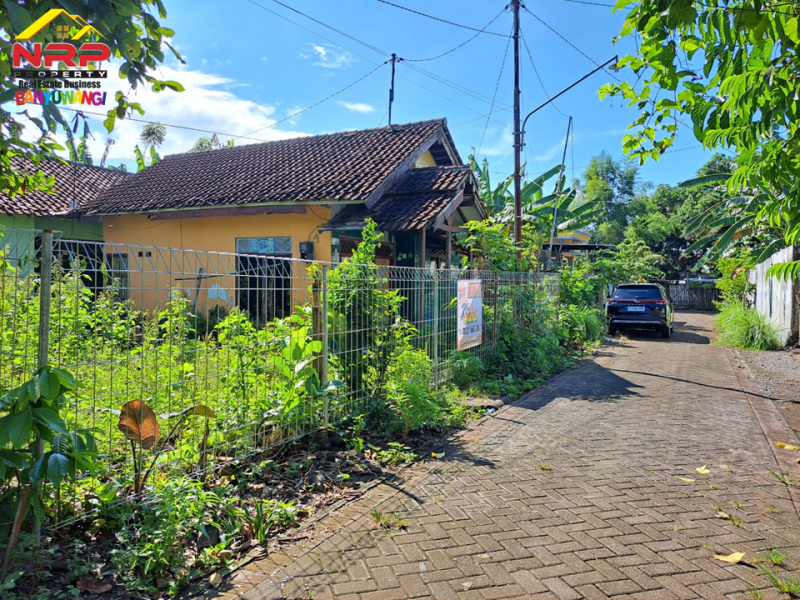 Dijual Tanah Bonus Bangunan Rumah 300 Meter dari Jl. S Parman Banyuwangi  Dijual Tanah Bonus Bangunan Rumah 300 Meter dari Jl. S Parman Banyuwangi  Dijual Tanah Bonus Bangunan Rumah 300 Meter dari Jl. S Parman Banyuwangi&nbsp;
Bersebelahan dengan Gardenia Estate Banyuwangi.&nbsp;
Cocok untuk hunian, NRP BANYUWANGI