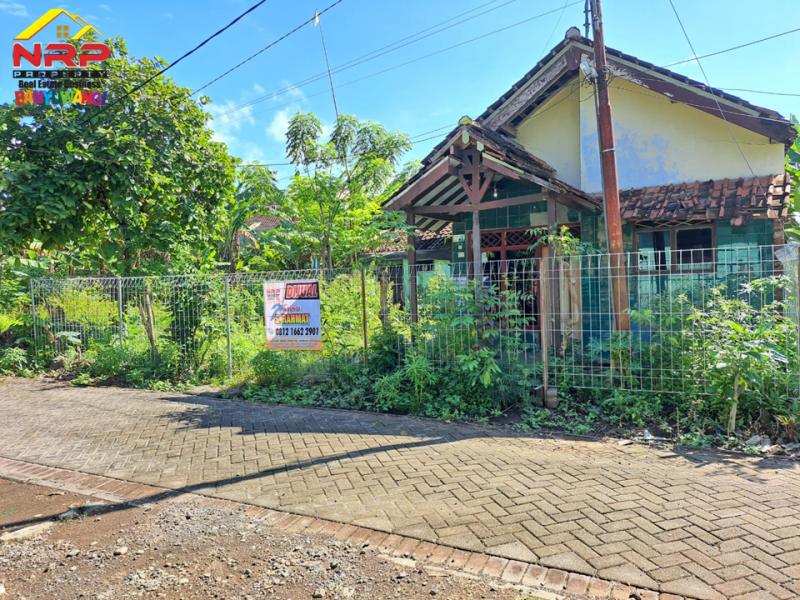 Dijual Tanah Bonus Bangunan Rumah 300 Meter dari Jl. S Parman Banyuwangi  Dijual Tanah Bonus Bangunan Rumah 300 Meter dari Jl. S Parman Banyuwangi  Dijual Tanah Bonus Bangunan Rumah 300 Meter dari Jl. S Parman Banyuwangi&nbsp;
Bersebelahan dengan Gardenia Estate Banyuwangi.&nbsp;
Cocok untuk hunian, NRP BANYUWANGI
