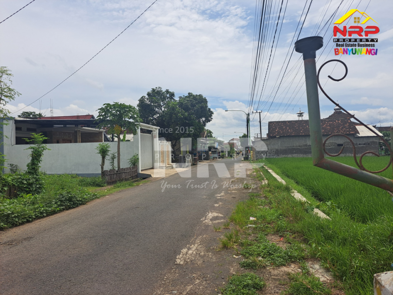 Dijual Tanah Bonus Bangunan Rumah dan Cafe di Genteng - Banyuwangi  Dijual Tanah Bonus Bangunan Rumah dan Cafe di Genteng - Banyuwangi  Dijual Tanah Bonus Bangunan Rumah dan Cafe di Genteng - Banyuwangi&nbsp;
Belakang kantor Mandiri Utama Finance Genteng, Dekat dengan Perum. Adimas NRP BANYUWANGI