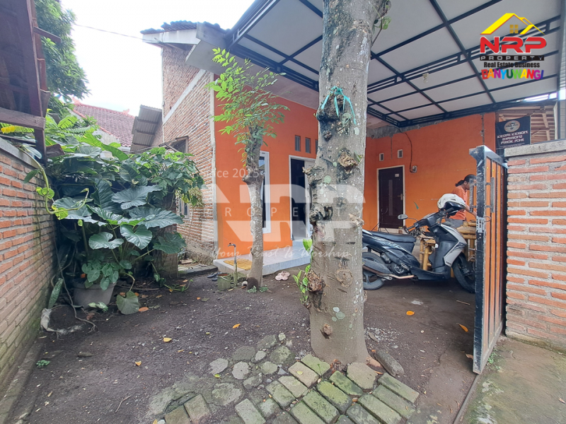 Dijual Tanah Bonus Bangunan strategis 100 Meter dari Jl. Kepiting Tukangkayu- Banyuwangi Kota Dijual Tanah Bonus Bangunan strategis 100 Meter dari Jl. Kepiting Tukangkayu- Banyuwangi Kota Dijual Tanah Bonus Bangunan strategis 100 Meter dari Jl. Kepiting - Banyuwangi Kota&nbsp;
Tengah kota Cocok untuk rumah kos, homestay ataupun tempat NRP BANYUWANGI