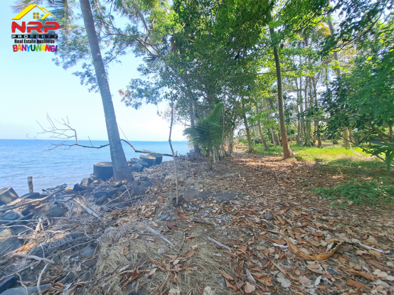 Dijual Tanah Bonus Bangunan Strategis Lepas Pantai, View Selat Bali. Dijual Tanah Bonus Bangunan Strategis Lepas Pantai, View Selat Bali. Dijual Tanah Bonus Bangunan Strategis Lepas Pantai, View Selat Bali.
Bonus Gudang dan Hunian. Dekat dengan kawasan bisnis dan perhotelan.
Cocok untuk hotel, NRP BANYUWANGI