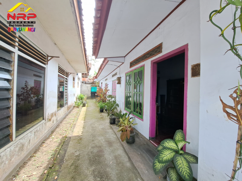 Dijual Tanah Bonus Bangunan tepi Jalan Provinsi Lemabang Dewo, Rogojampi - Banyuwangi Dijual tanah murah tepi Jl. Lemahbang rogojampi  Dijual Tanah Bonus Bangunan tepi Jalan Provinsi Lemabang Dewo, Rogojampi - Banyuwangi
Sangat cocok untuk hunian maupun ruang usaha lainnya.&nbsp;

Luas NRP BANYUWANGI