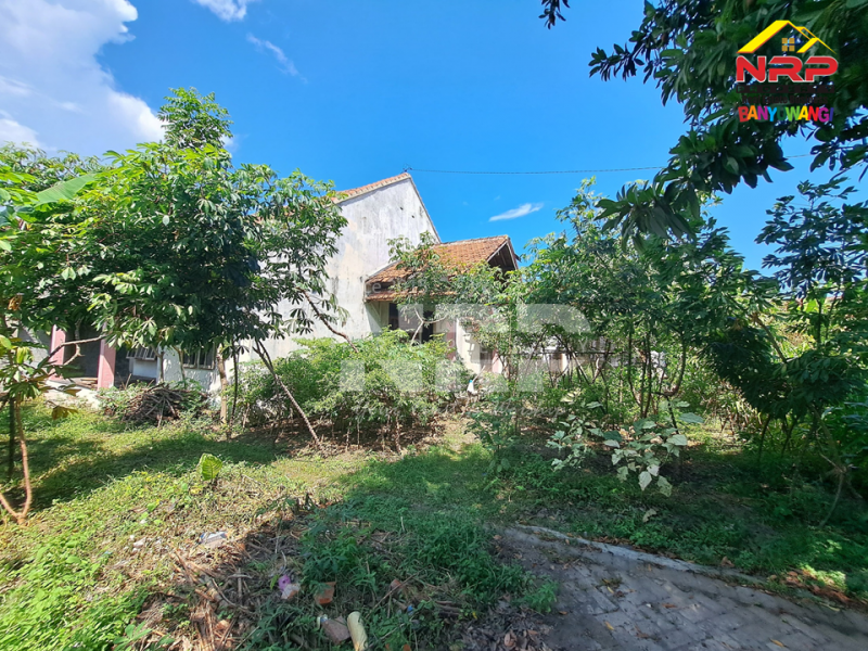 Dijual Tanah Bonus Bangunan Tua di Belakang SMAN 1 Banyuwangi  Jual tanah  strategis di Banyuwangi Kota  Dijual Tanah Bonus Bangunan Tua di Belakang SMAN 1 Banyuwangi&nbsp;
Tengah kota Cocok untuk rumah kos, homestay ataupun tempat tinggal.
Dekat Fasilitas NRP BANYUWANGI