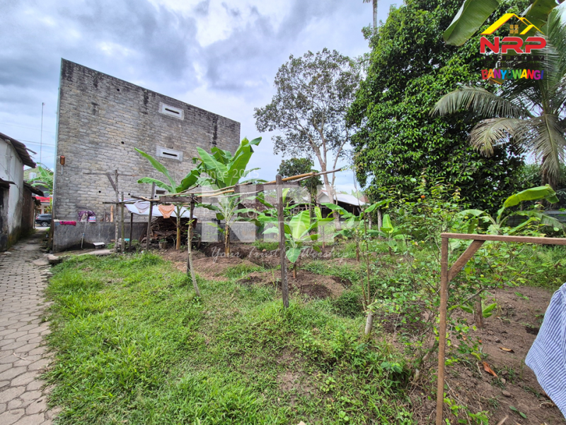 Dijual Tanah Bonus Bangunan Walet Strategis  di tepi Jl. Utama Tamansuruh  - Banyuwangi  Dijual Tanah Bonus Bangunan Walet Strategis  di tepi Jl. Utama Tamansuruh  - Banyuwangi  Dijual Tanah Bonus Bangunan Walet Strategis&nbsp; di tepi Jl. Utama Tamansuruh&nbsp; - Banyuwangi&nbsp;
Akses utama menuju Perkebunan Kalibendo, dan Agro NRP BANYUWANGI