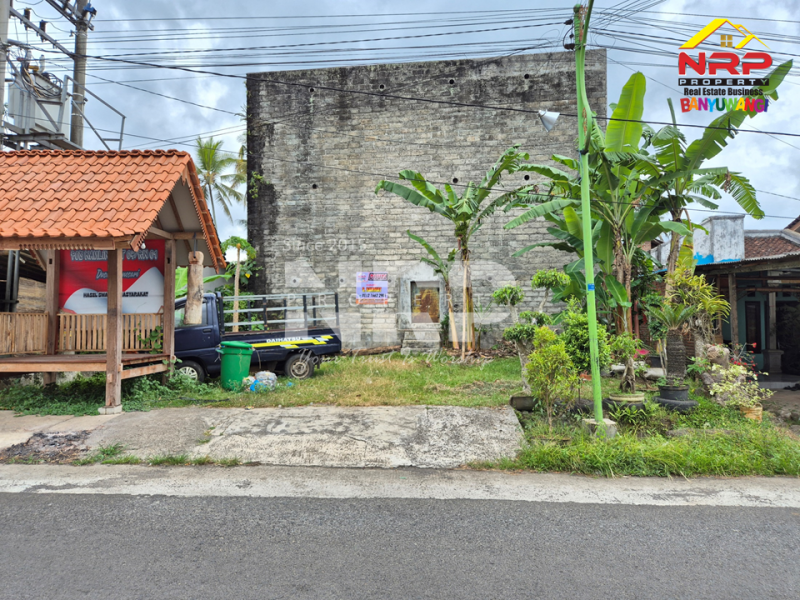 Dijual Tanah Bonus Bangunan Walet Strategis  di tepi Jl. Utama Tamansuruh  - Banyuwangi  Dijual Tanah Bonus Bangunan Walet Strategis  di tepi Jl. Utama Tamansuruh  - Banyuwangi  Dijual Tanah Bonus Bangunan Walet Strategis&nbsp; di tepi Jl. Utama Tamansuruh&nbsp; - Banyuwangi&nbsp;
Akses utama menuju Perkebunan Kalibendo, dan Agro NRP BANYUWANGI