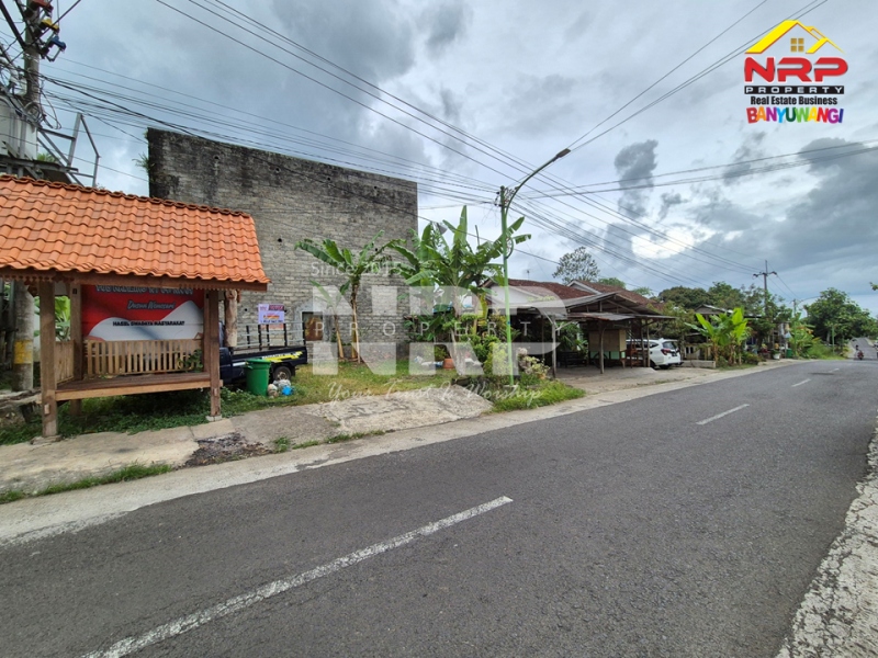 Dijual Tanah Bonus Bangunan Walet Strategis  di tepi Jl. Utama Tamansuruh  - Banyuwangi  Dijual Tanah Bonus Bangunan Walet Strategis  di tepi Jl. Utama Tamansuruh  - Banyuwangi  Dijual Tanah Bonus Bangunan Walet Strategis&nbsp; di tepi Jl. Utama Tamansuruh&nbsp; - Banyuwangi&nbsp;
Akses utama menuju Perkebunan Kalibendo, dan Agro NRP BANYUWANGI