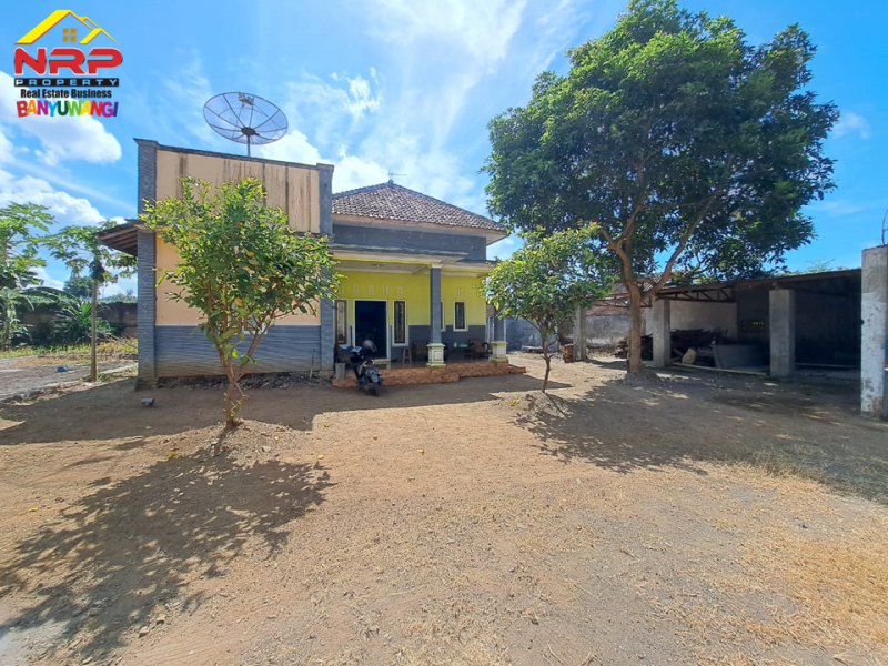 Dijual Tanah Bonus Hunian Rumah  50 Meter dari Jl. Raya Jember - Banyuwangi  Dijual Tanah Bonus Hunian Rumah  50 Meter dari Jl. Raya Jember - Banyuwangi  Dijual Tanah Bonus Hunian Rumah&nbsp; 50 Meter dari Jl. Raya Jember - Banyuwangi&nbsp;
Terdapat Pohon sengon dan Rumah Walet.
Cocok untuk hunian, gudang NRP BANYUWANGI