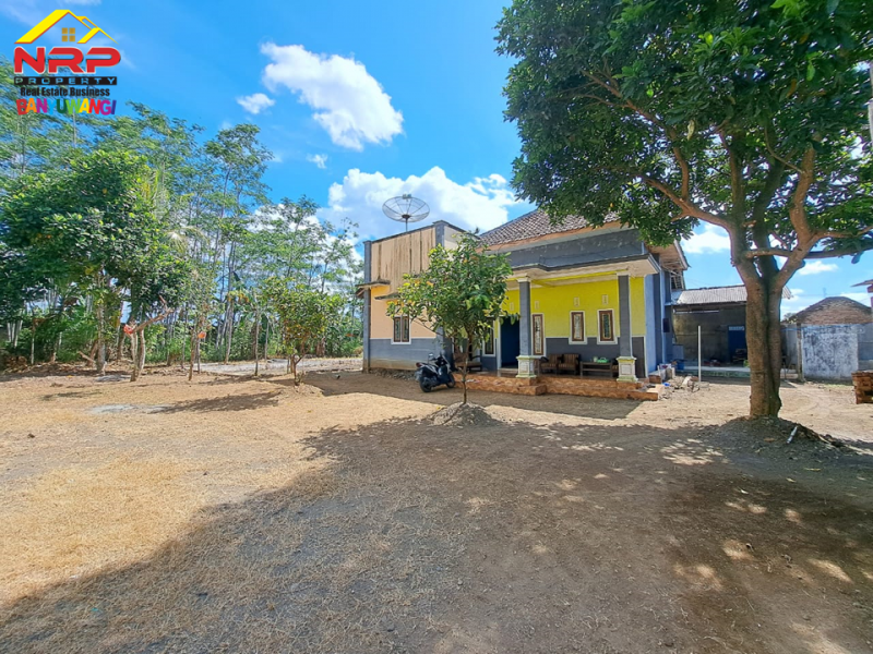 Dijual Tanah Bonus Hunian Rumah  50 Meter dari Jl. Raya Jember - Banyuwangi  Dijual Tanah Bonus Hunian Rumah  50 Meter dari Jl. Raya Jember - Banyuwangi  Dijual Tanah Bonus Hunian Rumah&nbsp; 50 Meter dari Jl. Raya Jember - Banyuwangi&nbsp;
Terdapat Pohon sengon dan Rumah Walet.
Cocok untuk hunian, gudang NRP BANYUWANGI