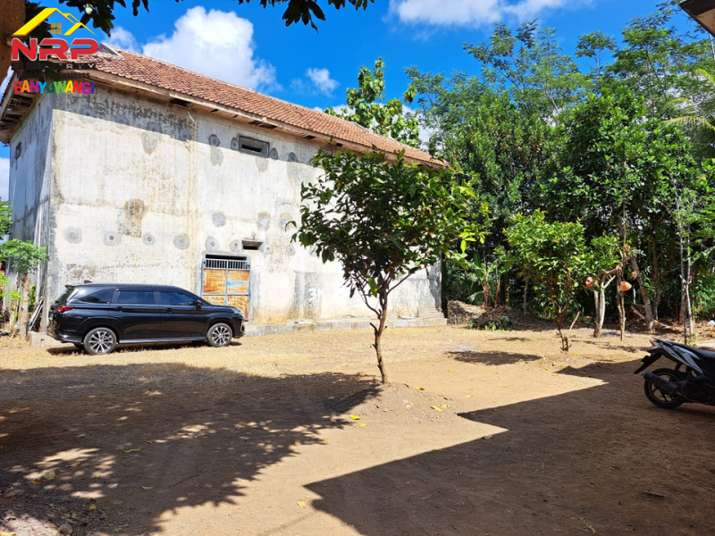 Dijual Tanah Bonus Hunian Rumah  50 Meter dari Jl. Raya Jember - Banyuwangi  Dijual Tanah Bonus Hunian Rumah  50 Meter dari Jl. Raya Jember - Banyuwangi  Dijual Tanah Bonus Hunian Rumah&nbsp; 50 Meter dari Jl. Raya Jember - Banyuwangi&nbsp;
Terdapat Pohon sengon dan Rumah Walet.
Cocok untuk hunian, gudang NRP BANYUWANGI