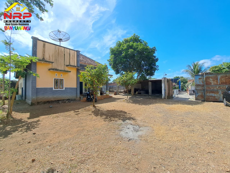 Dijual Tanah Bonus Hunian Rumah  50 Meter dari Jl. Raya Jember - Banyuwangi  Dijual Tanah Bonus Hunian Rumah  50 Meter dari Jl. Raya Jember - Banyuwangi  Dijual Tanah Bonus Hunian Rumah&nbsp; 50 Meter dari Jl. Raya Jember - Banyuwangi&nbsp;
Terdapat Pohon sengon dan Rumah Walet.
Cocok untuk hunian, gudang NRP BANYUWANGI