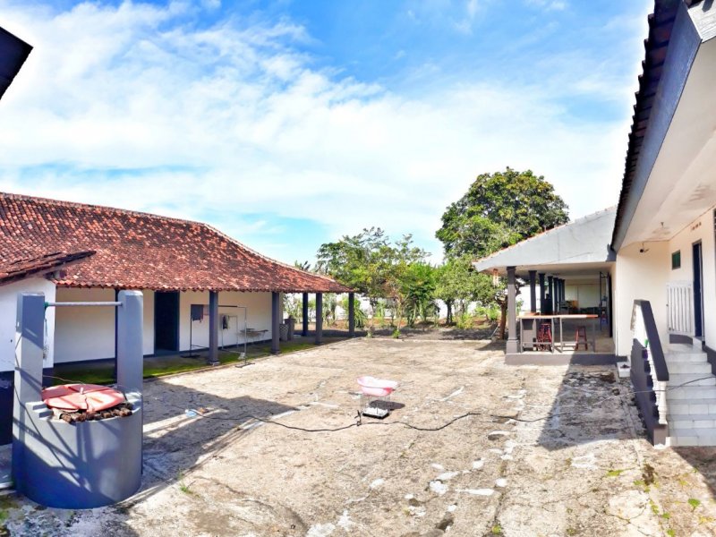Dijual Tanah Bonus Rumah di Jalan Provinsi Lemabang Dewo, Rogojampi - Banyuwangi Dijual Tanah Bonus Rumah di Jalan Provinsi Lemabang Dewo, Rogojampi - Banyuwangi Dijual Tanah Bonus Rumah di Jalan Provinsi Lemabang Dewo, Rogojampi - Banyuwangi
Design dan Kontruksi, Bangunan Kuno Belanda
Kontruksi sangat Kuat dan NRP BANYUWANGI
