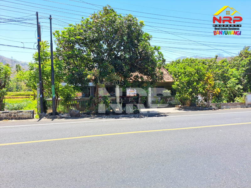 Dijual Tanah Bonus Rumah di tepi Jl. Raya Situbondo Ketapang - Banyuwangi  Dijual Tanah Bonus Rumah di tepi Jl. Raya Situbondo Ketapang - Banyuwangi  Dijual Tanah Bonus Rumah di tepi Jl. Raya Situbondo Ketapang - Banyuwangi&nbsp;
Cocok untuk hunian, ruang usaha atau passive income lainnya.&nbsp;

Luas NRP BANYUWANGI