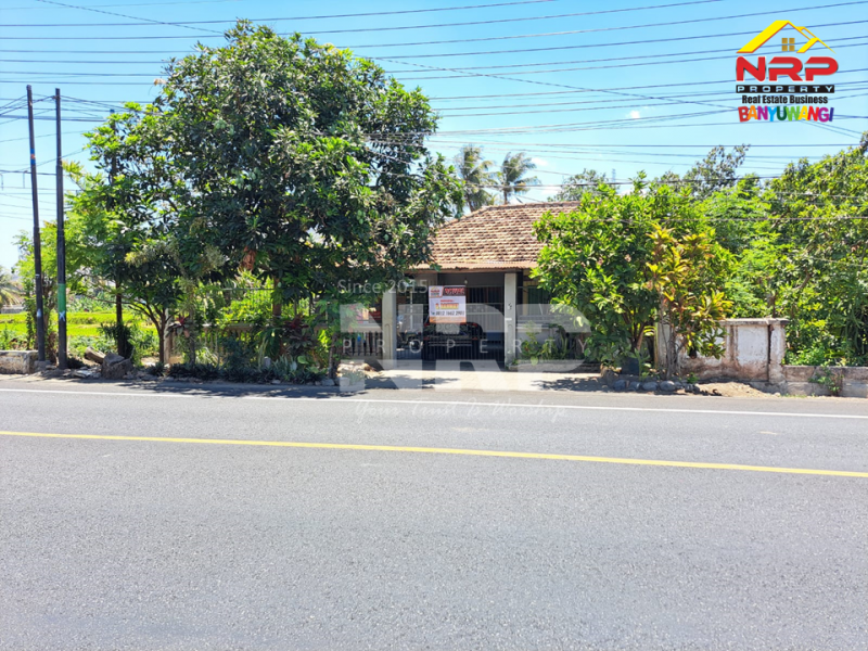 Dijual Tanah Bonus Rumah di tepi Jl. Raya Situbondo Ketapang - Banyuwangi  Dijual Tanah Bonus Rumah di tepi Jl. Raya Situbondo Ketapang - Banyuwangi  Dijual Tanah Bonus Rumah di tepi Jl. Raya Situbondo Ketapang - Banyuwangi&nbsp;
Cocok untuk hunian, ruang usaha atau passive income lainnya.&nbsp;

Luas NRP BANYUWANGI