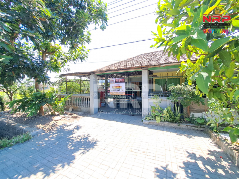 Dijual Tanah Bonus Rumah di tepi Jl. Raya Situbondo Ketapang - Banyuwangi  Dijual Tanah Bonus Rumah di tepi Jl. Raya Situbondo Ketapang - Banyuwangi  Dijual Tanah Bonus Rumah di tepi Jl. Raya Situbondo Ketapang - Banyuwangi&nbsp;
Cocok untuk hunian, ruang usaha atau passive income lainnya.&nbsp;

Luas NRP BANYUWANGI