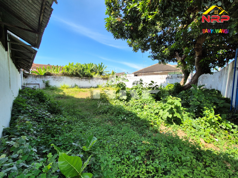 Dijual Tanah dan Bangunan Klasik Prospek di Barat Kantor Bupati  Banyuwangi Jual rumah klasik strategis di Pusat Kota Banyuwangi  Dijual Tanah dan Bangunan Klasik Prospek di Barat Kantor Bupati&nbsp; Banyuwangi
Terletak di Jl. Utama Borobudur Tamanbaru
Sangat Cocok untuk Rumah Kos NRP BANYUWANGI