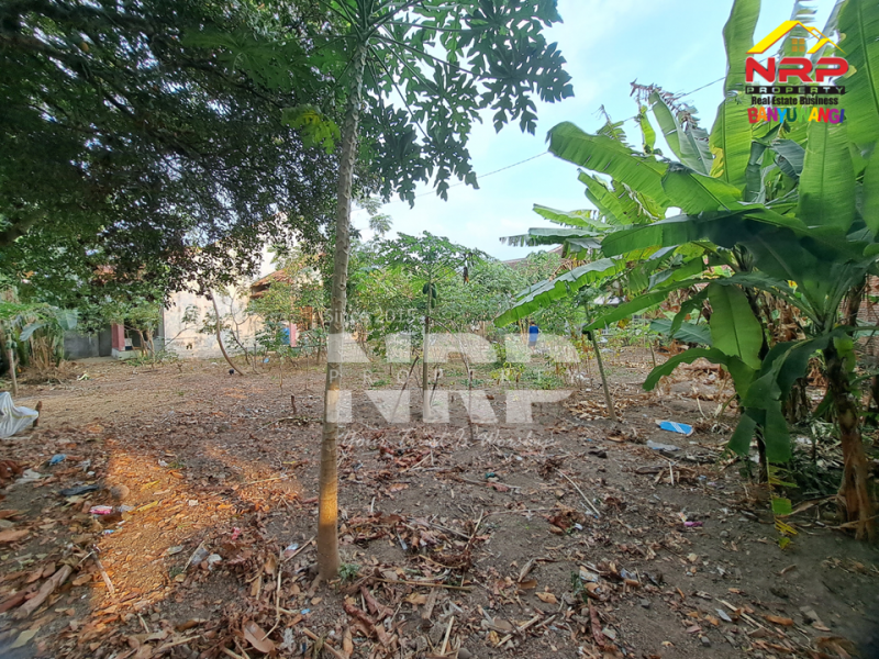 Dijual Tanah dan Bangunan Siap Bangun di Belakang SMAN 1 BANYUWANGI -Kertosari  Dijual Tanah dan Bangunan Siap Bangun di Belakang SMAN 1 BANYUWANGI -Kertosari  Dijual Tanah dan Bangunan Siap Bangun di Belakang SMAN 1 BANYUWANGI -Kertosari&nbsp;
Lokasi Padat Penduduk, Cocok untuk rumah kos, homestay, Villa ataupun NRP BANYUWANGI