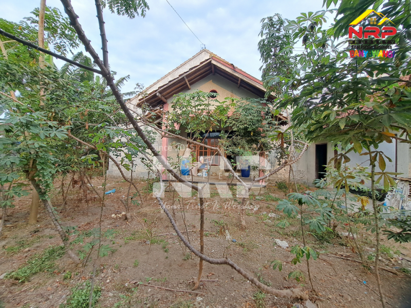 Dijual Tanah dan Bangunan Siap Bangun di Belakang SMAN 1 BANYUWANGI -Kertosari  Dijual Tanah dan Bangunan Siap Bangun di Belakang SMAN 1 BANYUWANGI -Kertosari  Dijual Tanah dan Bangunan Siap Bangun di Belakang SMAN 1 BANYUWANGI -Kertosari&nbsp;
Lokasi Padat Penduduk, Cocok untuk rumah kos, homestay, Villa ataupun NRP BANYUWANGI