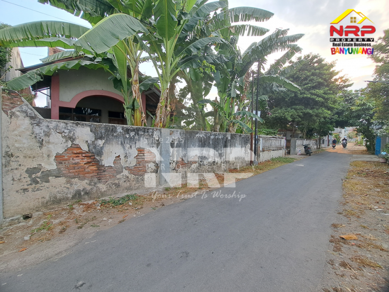 Dijual Tanah dan Bangunan Siap Bangun di Belakang SMAN 1 BANYUWANGI -Kertosari  Dijual Tanah dan Bangunan Siap Bangun di Belakang SMAN 1 BANYUWANGI -Kertosari  Dijual Tanah dan Bangunan Siap Bangun di Belakang SMAN 1 BANYUWANGI -Kertosari&nbsp;
Lokasi Padat Penduduk, Cocok untuk rumah kos, homestay, Villa ataupun NRP BANYUWANGI