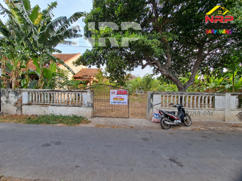 Dijual Tanah dan Bangunan Siap Bangun di Belakang SMAN 1 BANYUWANGI -Kertosari  Dijual Tanah dan Bangunan Siap Bangun di Belakang SMAN 1 BANYUWANGI -Kertosari  Dijual Tanah dan Bangunan Siap Bangun di Belakang SMAN 1 BANYUWANGI -Kertosari&nbsp;
Lokasi Padat Penduduk, Cocok untuk rumah kos, homestay, Villa ataupun NRP BANYUWANGI
