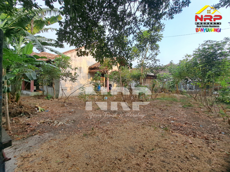 Dijual Tanah dan Bangunan Siap Bangun di Belakang SMAN 1 BANYUWANGI -Kertosari  Dijual Tanah dan Bangunan Siap Bangun di Belakang SMAN 1 BANYUWANGI -Kertosari  Dijual Tanah dan Bangunan Siap Bangun di Belakang SMAN 1 BANYUWANGI -Kertosari&nbsp;
Lokasi Padat Penduduk, Cocok untuk rumah kos, homestay, Villa ataupun NRP BANYUWANGI