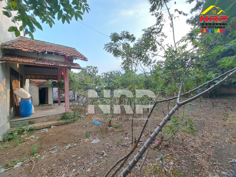 Dijual Tanah dan Bangunan Siap Bangun di Belakang SMAN 1 BANYUWANGI -Kertosari  Dijual Tanah dan Bangunan Siap Bangun di Belakang SMAN 1 BANYUWANGI -Kertosari  Dijual Tanah dan Bangunan Siap Bangun di Belakang SMAN 1 BANYUWANGI -Kertosari&nbsp;
Lokasi Padat Penduduk, Cocok untuk rumah kos, homestay, Villa ataupun NRP BANYUWANGI