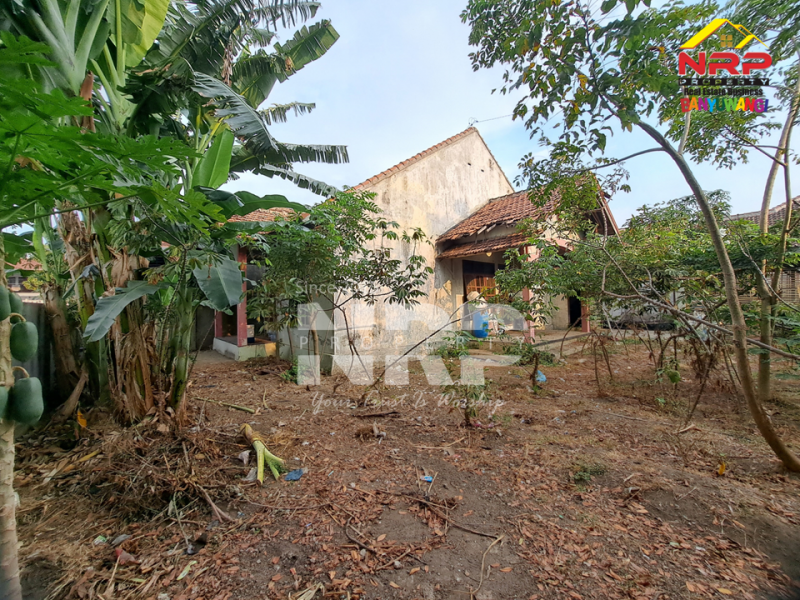 Dijual Tanah dan Bangunan Siap Bangun di Belakang SMAN 1 BANYUWANGI -Kertosari  Dijual Tanah dan Bangunan Siap Bangun di Belakang SMAN 1 BANYUWANGI -Kertosari  Dijual Tanah dan Bangunan Siap Bangun di Belakang SMAN 1 BANYUWANGI -Kertosari&nbsp;
Lokasi Padat Penduduk, Cocok untuk rumah kos, homestay, Villa ataupun NRP BANYUWANGI