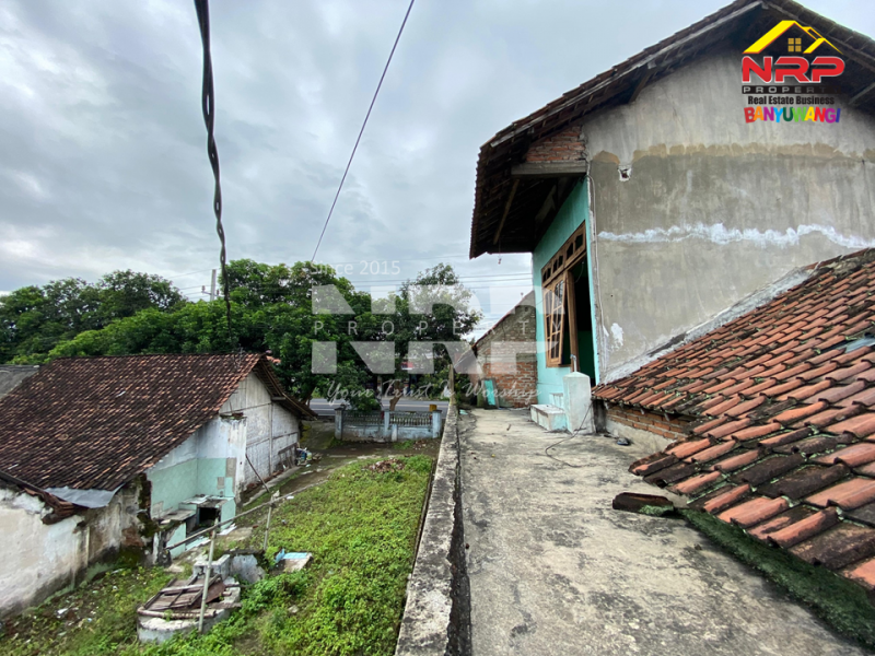 Dijual Tanah dengan Bangunan di Jl. Utama Rogojampi - Banyuwangi  Dijual Tanah dengan Bangunan di Jl. Utama Rogojampi - Banyuwangi  Dijual Tanah dengan Bangunan di Jl. Utama Rogojampi - Banyuwangi&nbsp;
500 meter dari Kampus Poltek Banyuwangi. Lokasi Sangat Cocok Untuk Investasi, dibangun NRP BANYUWANGI