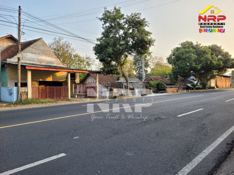 Dijual Tanah dengan Bangunan di Jl. Utama Rogojampi - Banyuwangi  Dijual Tanah dengan Bangunan di Jl. Utama Rogojampi - Banyuwangi  Dijual Tanah dengan Bangunan di Jl. Utama Rogojampi - Banyuwangi&nbsp;
500 meter dari Kampus Poltek Banyuwangi. Lokasi Sangat Cocok Untuk Investasi, dibangun NRP BANYUWANGI