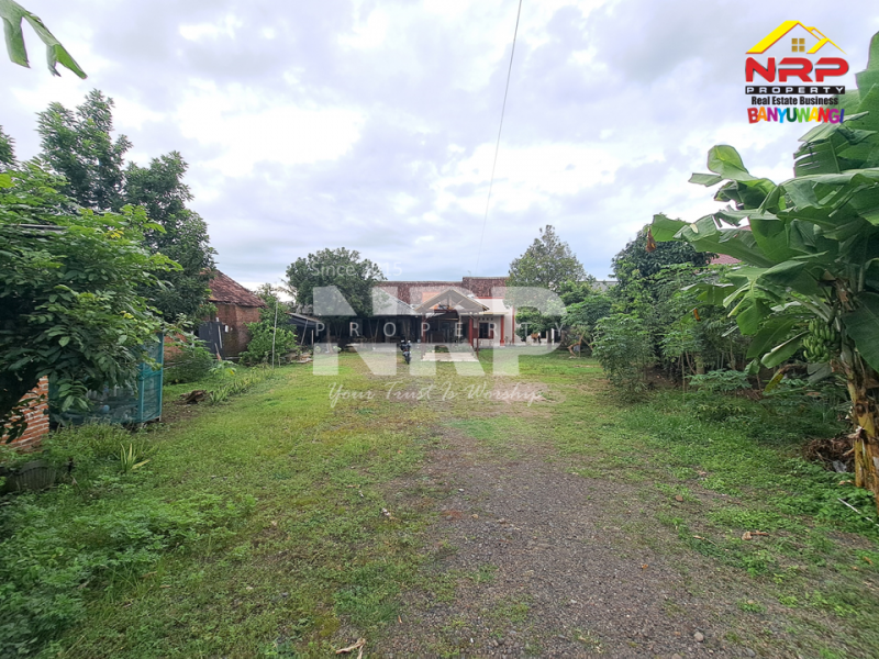 Dijual Tanah dengan Bangunan Rumah dan Cafe Strategis di tepi Jl. Widuri - Banyuwangi Dijual Tanah dengan Bangunan Rumah dan Cafe Strategis di tepi Jl. Widuri - Banyuwangi Dijual Tanah dengan Bangunan Rumah dan Cafe Strategis di tepi Jl. Widuri - Banyuwangi&nbsp;&nbsp;
Berada dikawasan Sekolah ternama di Banyuwangi, Cocok untuk NRP BANYUWANGI