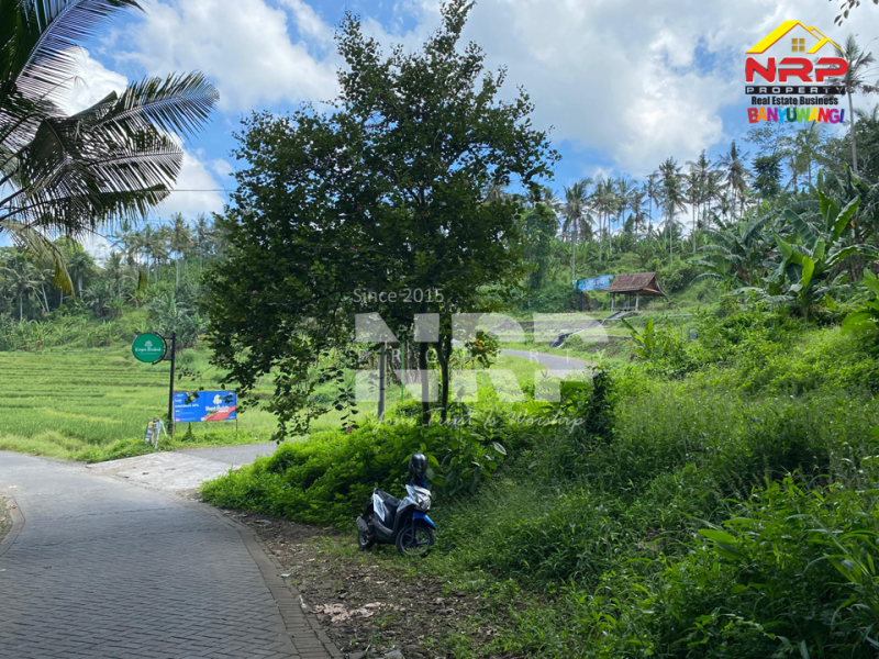 Dijual Tanah Dengan View terasiring Cantik di tepi Paspan, Glagah Dijual Tanah Dengan View terasiring Cantik di tepi Paspan, Glagah Dijual Tanah Dengan View terasiring Cantik di tepi Paspan, Glagah
Akses Mudah, akses roda 4 aman. Udara segar, pemandangan hijau. Cocok untuk kamu yang ingin NRP BANYUWANGI