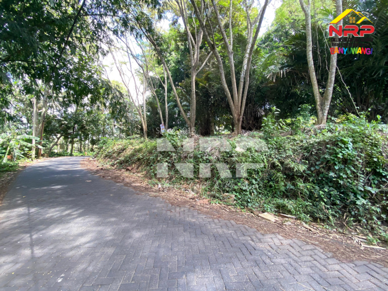 Dijual Tanah Dengan View terasiring Cantik di tepi Paspan, Glagah Dijual Tanah Dengan View terasiring Cantik di tepi Paspan, Glagah Dijual Tanah Dengan View terasiring Cantik di tepi Paspan, Glagah
Akses Mudah, akses roda 4 aman. Udara segar, pemandangan hijau. Cocok untuk kamu yang ingin NRP BANYUWANGI