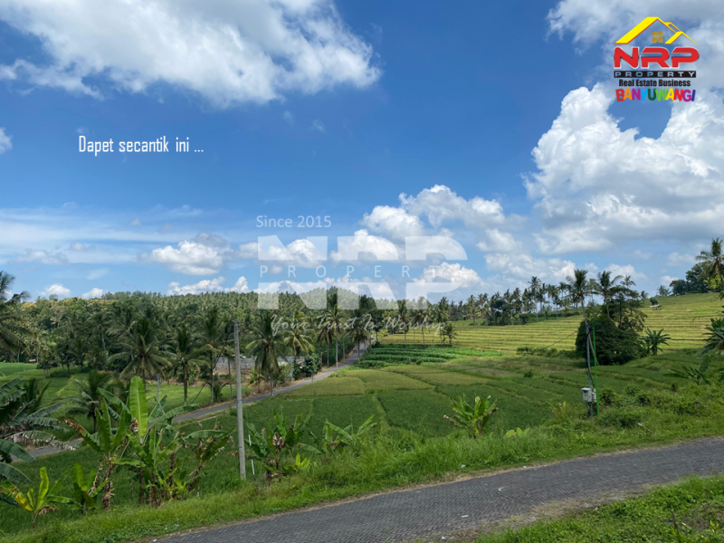 Dijual Tanah Dengan View terasiring Cantik di tepi Paspan, Glagah Dijual Tanah Dengan View terasiring Cantik di tepi Paspan, Glagah Dijual Tanah Dengan View terasiring Cantik di tepi Paspan, Glagah
Akses Mudah, akses roda 4 aman. Udara segar, pemandangan hijau. Cocok untuk kamu yang ingin NRP BANYUWANGI