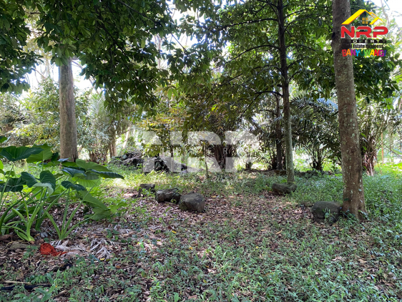 Dijual Tanah Dengan View terasiring Cantik di tepi Paspan, Glagah Dijual Tanah Dengan View terasiring Cantik di tepi Paspan, Glagah Dijual Tanah Dengan View terasiring Cantik di tepi Paspan, Glagah
Akses Mudah, akses roda 4 aman. Udara segar, pemandangan hijau. Cocok untuk kamu yang ingin NRP BANYUWANGI