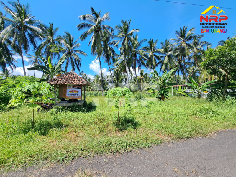 Dijual Tanah Depan KUA Kalipuro - Banyuwangi  Dijual Tanah Depan KUA Kalipuro - Banyuwangi  Dijual Tanah Depan KUA Kalipuro - Banyuwangi&nbsp;
Dekat dengan SMKN 1 Kalipuro, Dekat dengan kawasan industri&nbsp;
Cocok untuk investasi, perkebunan atau NRP BANYUWANGI