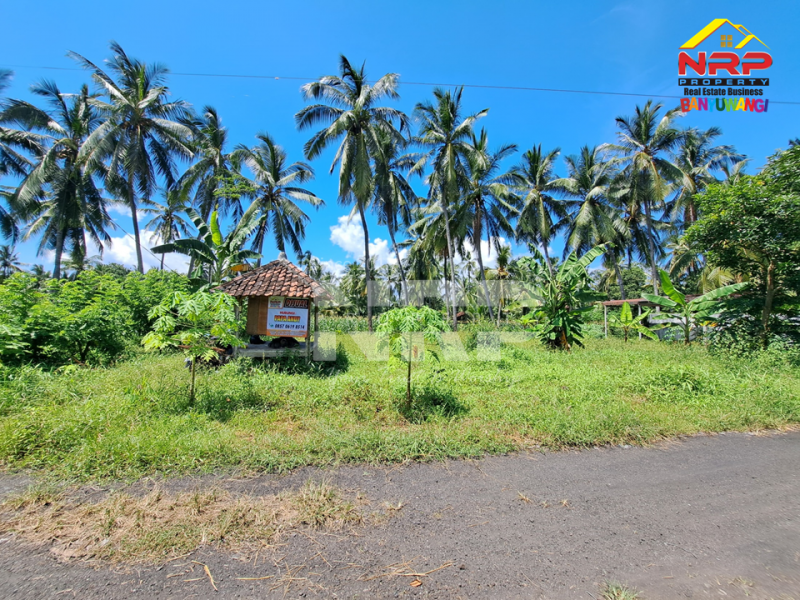 Dijual Tanah Depan KUA Kalipuro - Banyuwangi  Dijual Tanah Depan KUA Kalipuro - Banyuwangi  Dijual Tanah Depan KUA Kalipuro - Banyuwangi&nbsp;
Dekat dengan SMKN 1 Kalipuro, Dekat dengan kawasan industri&nbsp;
Cocok untuk investasi, perkebunan atau NRP BANYUWANGI