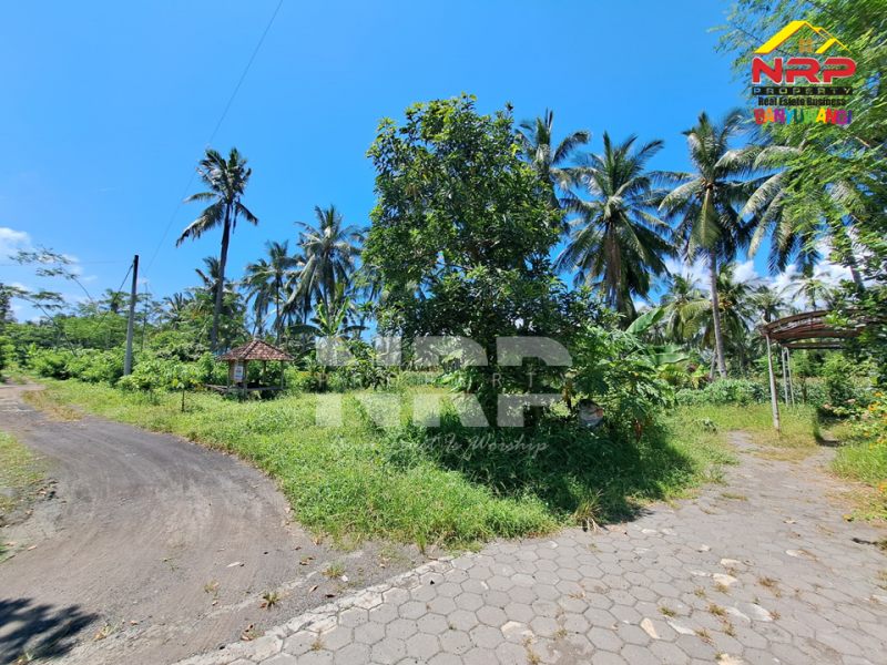 Dijual Tanah Depan KUA Kalipuro - Banyuwangi  Dijual Tanah Depan KUA Kalipuro - Banyuwangi  Dijual Tanah Depan KUA Kalipuro - Banyuwangi&nbsp;
Dekat dengan SMKN 1 Kalipuro, Dekat dengan kawasan industri&nbsp;
Cocok untuk investasi, perkebunan atau NRP BANYUWANGI