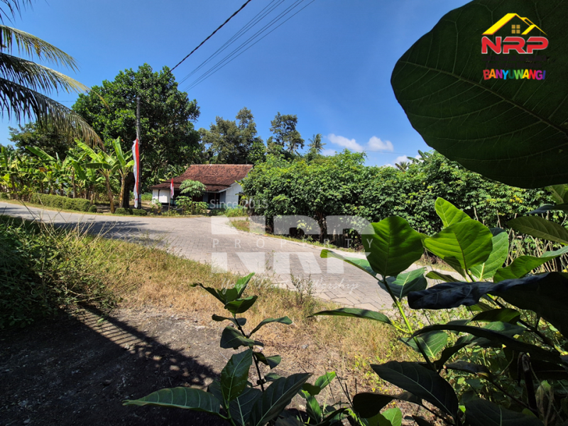 Dijual Tanah di Bagorejo, Srono - Banyuwangi  Dijual Tanah di Bagorejo, Srono - Banyuwangi  Dijual Tanah di Bagorejo, Srono - Banyuwangi&nbsp;
Lokasi perbatasan Srono - Muncar, Akses jalannya paving.&nbsp;
Saat ini digunakan untuk usaha ternak NRP BANYUWANGI