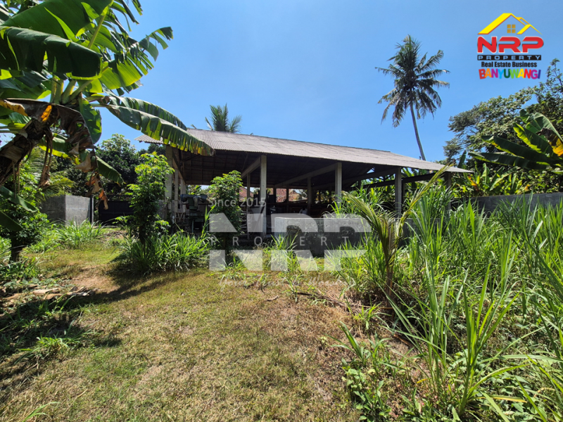 Dijual Tanah di Bagorejo, Srono - Banyuwangi  Dijual Tanah di Bagorejo, Srono - Banyuwangi  Dijual Tanah di Bagorejo, Srono - Banyuwangi&nbsp;
Lokasi perbatasan Srono - Muncar, Akses jalannya paving.&nbsp;
Saat ini digunakan untuk usaha ternak NRP BANYUWANGI
