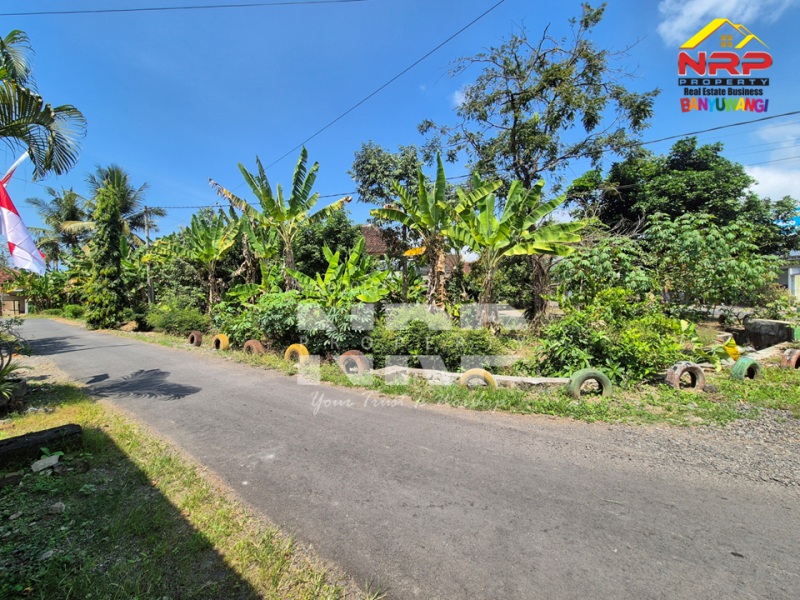 Dijual Tanah di Bagorejo, Srono - Banyuwangi  Dijual Tanah di Bagorejo, Srono - Banyuwangi  Dijual Tanah di Bagorejo, Srono - Banyuwangi&nbsp;
Lokasi perbatasan Srono - Muncar, Akses jalannya paving.&nbsp;
Saat ini digunakan untuk usaha ternak NRP BANYUWANGI