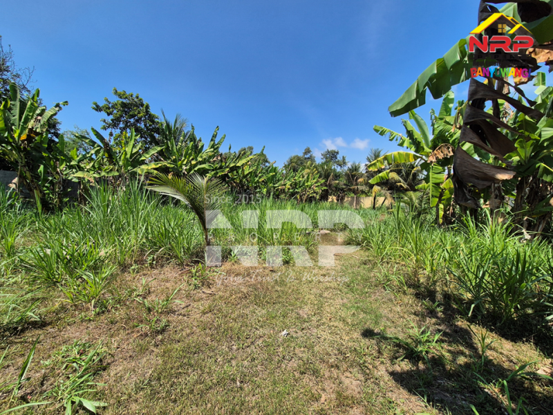 Dijual Tanah di Bagorejo, Srono - Banyuwangi  Dijual Tanah di Bagorejo, Srono - Banyuwangi  Dijual Tanah di Bagorejo, Srono - Banyuwangi&nbsp;
Lokasi perbatasan Srono - Muncar, Akses jalannya paving.&nbsp;
Saat ini digunakan untuk usaha ternak NRP BANYUWANGI