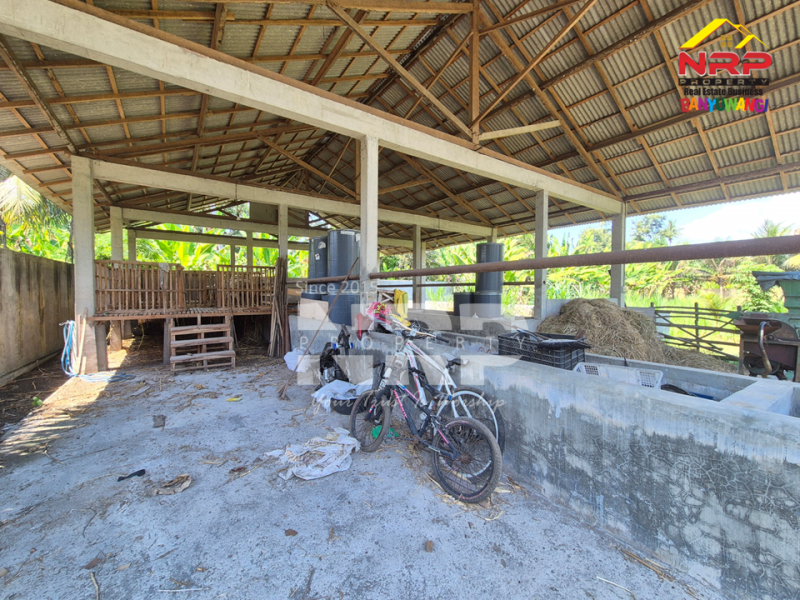 Dijual Tanah di Bagorejo, Srono - Banyuwangi  Dijual Tanah di Bagorejo, Srono - Banyuwangi  Dijual Tanah di Bagorejo, Srono - Banyuwangi&nbsp;
Lokasi perbatasan Srono - Muncar, Akses jalannya paving.&nbsp;
Saat ini digunakan untuk usaha ternak NRP BANYUWANGI