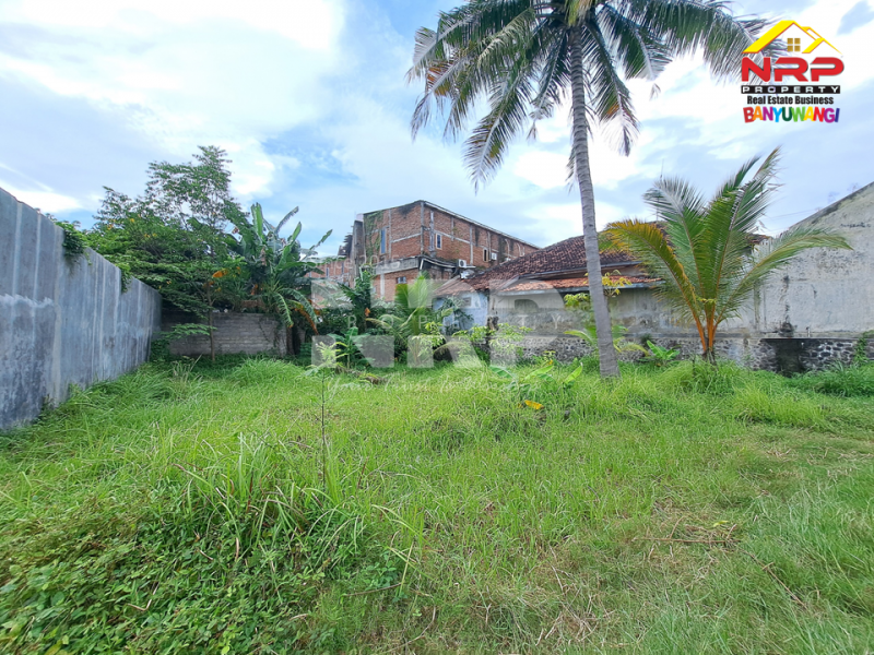 Dijual Tanah di Belakang Kantor BRI Ketapang - Banyuwangi  Dijual Tanah Murah di Ketapang Banyuwangi  Dijual Tanah di Belakang Kantor BRI Ketapang - Banyuwangi&nbsp;
250 Meter dari Jl. Raya Ketapang. Dekat dengan Ponpes Al Hamidiyah Ketapang
Dekat dengan NRP BANYUWANGI