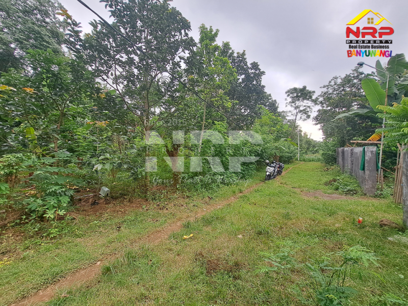 Dijual Tanah di Bulusan - Banyuwangi  Dijual Tanah di Bulusan Banyuwangi  Dijual Tanah di Bulusan - Banyuwangi&nbsp;
Dekat dengan INKA Ketapang Banyuwangi, 6 Menit dari Jl. Raya Gatot Subroto.&nbsp;
Untuk investasi jangka NRP BANYUWANGI