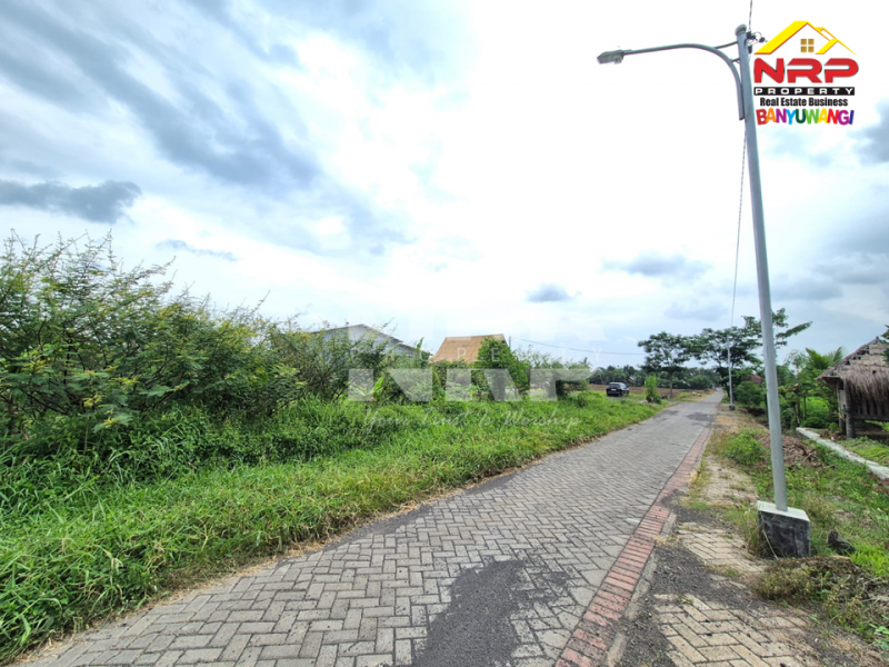Dijual Tanah di Desa Kemiri, Singojuruh - Banyuwangi  Dijual Tanah di Desa Kemiri, Singojuruh - Banyuwangi  Dijual Tanah di Desa Kemiri, Singojuruh - Banyuwangi&nbsp;
Akses jln paving mobil dan truk, sudah ada PLJU
Cocok untuk gudang, pembukaan kawasan perumahan NRP BANYUWANGI