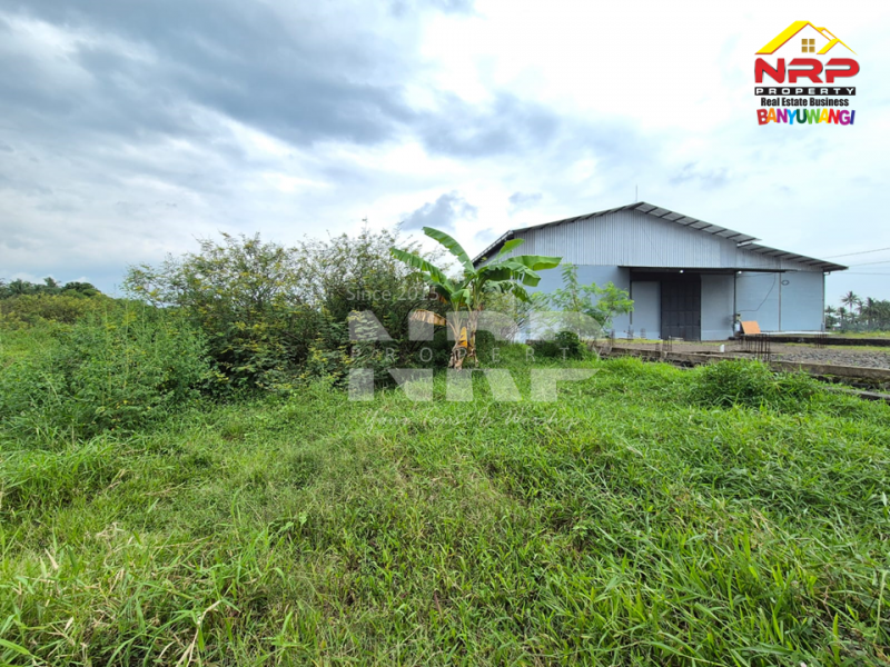 Dijual Tanah di Desa Kemiri, Singojuruh - Banyuwangi  Dijual Tanah di Desa Kemiri, Singojuruh - Banyuwangi  Dijual Tanah di Desa Kemiri, Singojuruh - Banyuwangi&nbsp;
Akses jln paving mobil dan truk, sudah ada PLJU
Cocok untuk gudang, pembukaan kawasan perumahan NRP BANYUWANGI