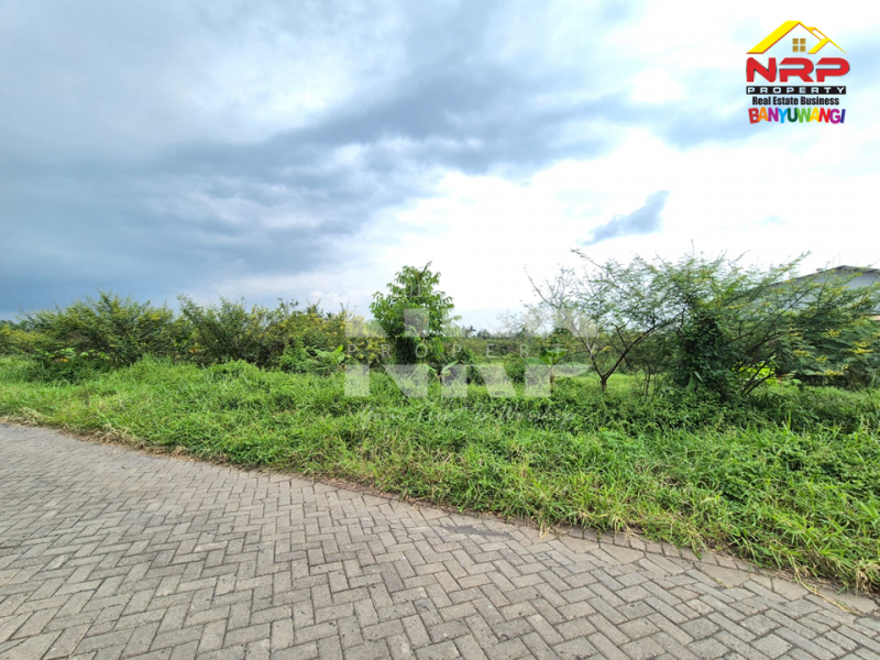 Dijual Tanah di Desa Kemiri, Singojuruh - Banyuwangi  Dijual Tanah di Desa Kemiri, Singojuruh - Banyuwangi  Dijual Tanah di Desa Kemiri, Singojuruh - Banyuwangi&nbsp;
Akses jln paving mobil dan truk, sudah ada PLJU
Cocok untuk gudang, pembukaan kawasan perumahan NRP BANYUWANGI