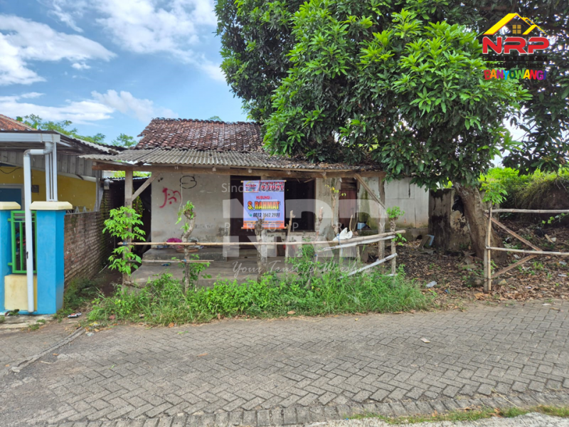 Dijual Tanah di Jl. Tidar, Singotrunan -  Banyuwangi  Dijual Tanah di Jl. Tidar, Singotrunan -  Banyuwangi  Dijual Tanah di Jl. Tidar, Singotrunan -&nbsp; Banyuwangi&nbsp;
Berada di Kawasan Pendidikan dan Perumahan. Cocok untuk Hunian&nbsp;

Luas Tanah : 200 NRP BANYUWANGI