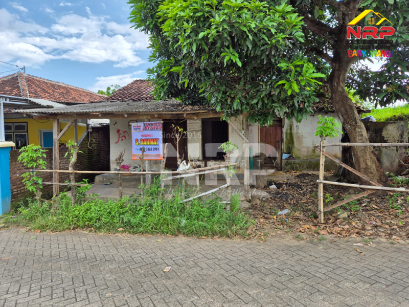 Dijual Tanah di Jl. Tidar, Singotrunan -  Banyuwangi  Dijual Tanah di Jl. Tidar, Singotrunan -  Banyuwangi  Dijual Tanah di Jl. Tidar, Singotrunan -&nbsp; Banyuwangi&nbsp;
Berada di Kawasan Pendidikan dan Perumahan. Cocok untuk Hunian&nbsp;

Luas Tanah : 200 NRP BANYUWANGI
