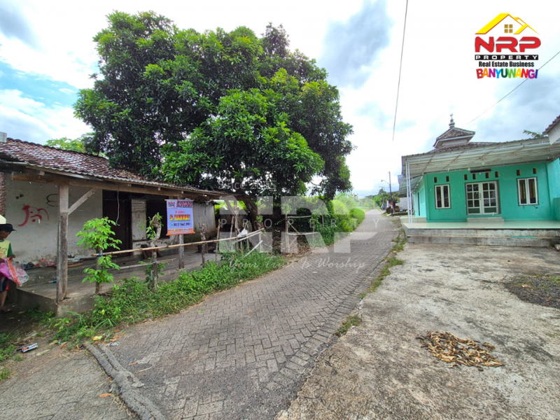 Dijual Tanah di Jl. Tidar, Singotrunan -  Banyuwangi  Dijual Tanah di Jl. Tidar, Singotrunan -  Banyuwangi  Dijual Tanah di Jl. Tidar, Singotrunan -&nbsp; Banyuwangi&nbsp;
Berada di Kawasan Pendidikan dan Perumahan. Cocok untuk Hunian&nbsp;

Luas Tanah : 200 NRP BANYUWANGI