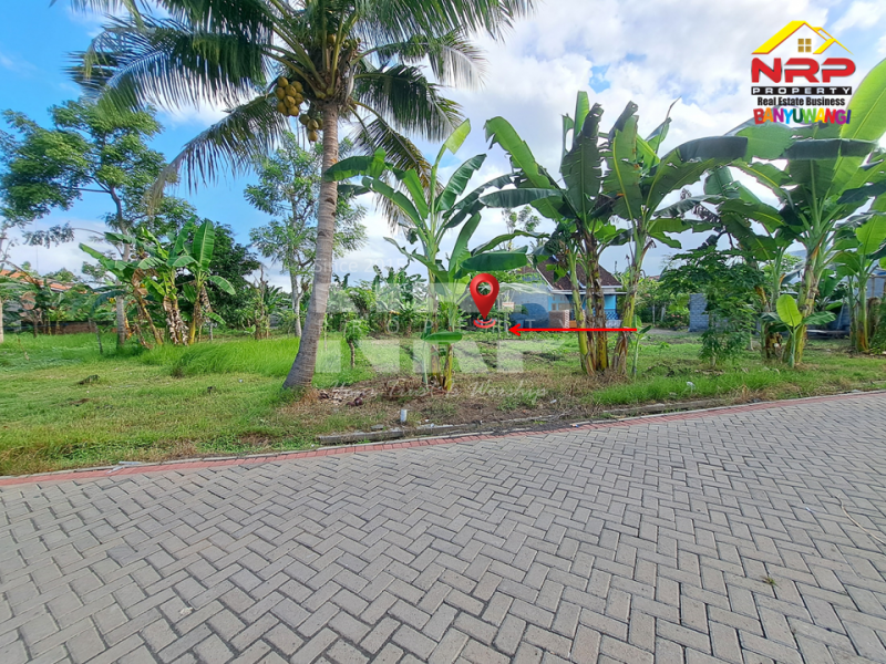 Dijual Tanah di Kawasan Perumahan Sobo - Banyuwangi.  Dijual tanah murah di Banyuwangi Kota  Dijual Tanah di Kawasan Perumahan Sobo - Banyuwangi.&nbsp;
Tanah murah harga 100 Jutaan di tengah kota.&nbsp;

Luas Tanah : 150 NRP BANYUWANGI